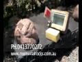 Video Image