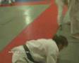 Zita kyotei dojo: Judo adultes.