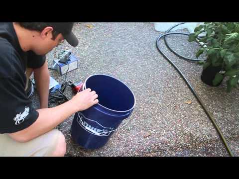 how to transplant clones into hydroton