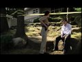 Elise Rovinsky - Person of Interest - Trailer