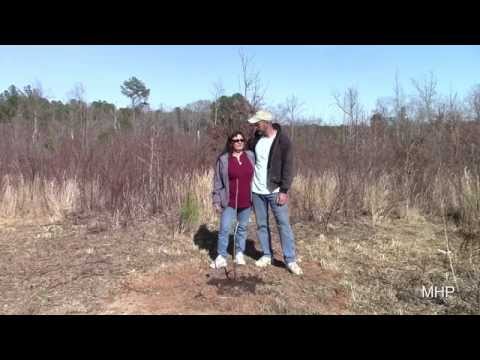 how to fertilize pecan trees in georgia