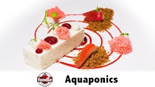 Aquaponics