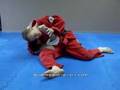 Shoulder/Elbow Lock from... View Video
