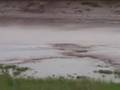 Canadian Tides 2007