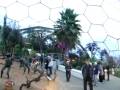 videos de Eden Project Dionysius