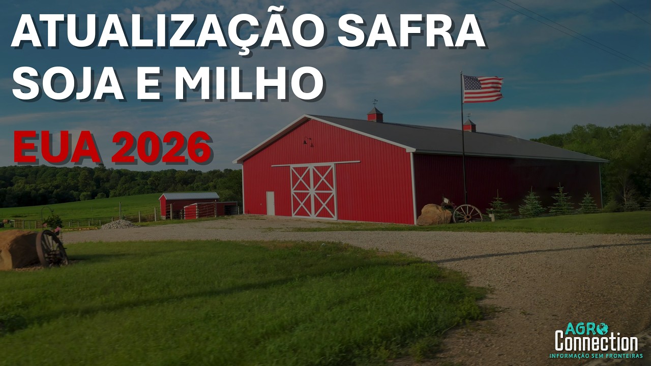 Safra Soja e Milho EUA 2026 - 25 de maio - Atualização da Safra