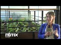 NotimexTV