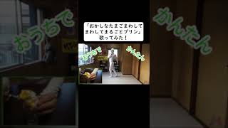 動画2