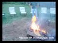 Fire-Jumping Dog!