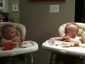 Twin baby boys cracking eachother up