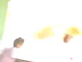 los niños de la secundaria quila sinaloa