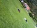 Aimee nd Isis rollin down a hill