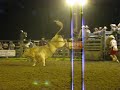 colt-deberry-carousel-farms-715.html