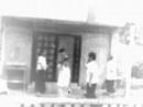 carinosa