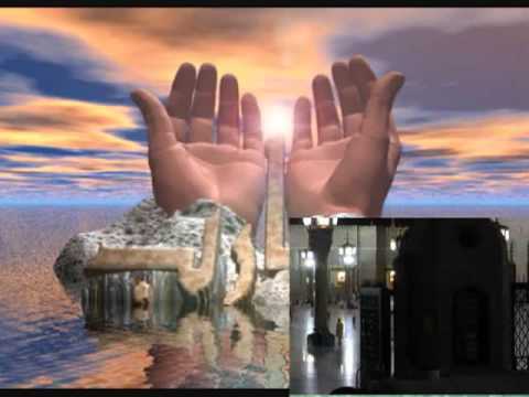 See video See video