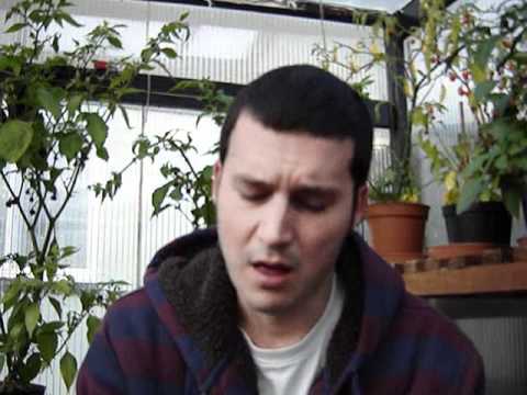 how to grow butch t