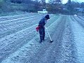 「この指とまれ」農場でのある日