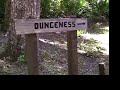 a-visit-to-cumberland-island-ga.html