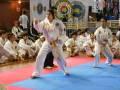 videos de CAMPEONATO ATU 2008 ( Tul de 7º Gup - Natalia Preiti )