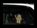 Kim Kardashian Flour Bomb - YouTube