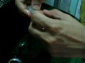 prawns (shrimp) cleaning