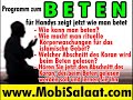 DER HEILIGE KORAN Die Anhäufung you tube islam allah  Goot
