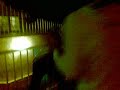 Massalfassar Tallant el abre en Noche Vieja