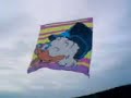 Modelaod de 6 Metros:Turma Os Primos.Bandeira T.Patinhas