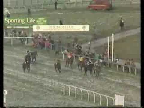 cheltenham gold cup