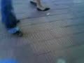 llave papo