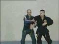 Combat Hapkido