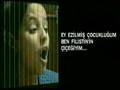 F�L�ST�N L� KIZ    