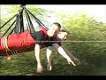 Wonderland Bungee Jump Wonderland Bungee Jump