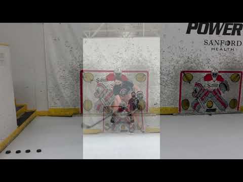 2020-2021 Madison Brown Dryland Workout