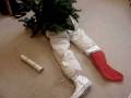 Horrific Christmas Tree Accident