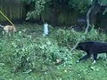Hurricane Ike - After (1)