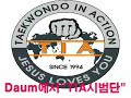 taekwondo 540 kick