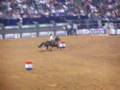 Barrel Racing Houston Rodeo