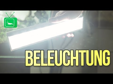 3 FAKTEN über AQUARIEN BELEUCHTUNG | GarnelenTv