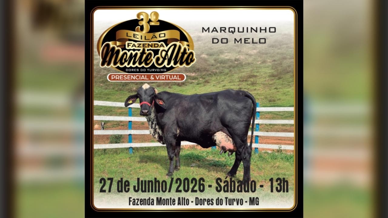 3º LEILÃO PRESENCIAL FAZENDA MONTE ALTO - MARQUINHO DO MELO - DORES DO TURVO/MG - 27/06/2026
