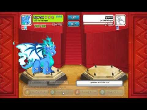 how to train dragons in dragon city