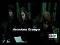 If I Were Gay-Harry Potter TRailer