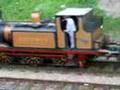 Loco Cavalcade at the Bluebell Railway