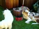 Samen drinken Samen drinken