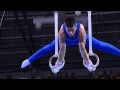 Men's Rings Final - Artistic Gymnastics - Singapore 2010 Youth Games