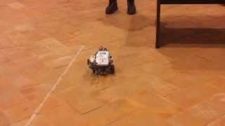 Robot Dance (A.S. 2012/2013)