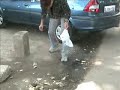 dillikahero