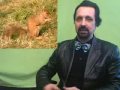 Notizie 30 ottobre: scoiattoli a pranzo e mogli rubate Notizie 30 ottobre: scoiattoli a pranzo e mogli rubate