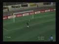 Neeskens Volley