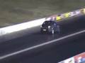 Stocker Caprice runs 12's